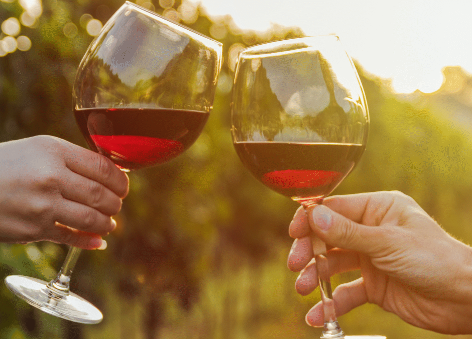 2 people toasting with glasses of wine